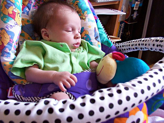 Hayley in her bouncy seat